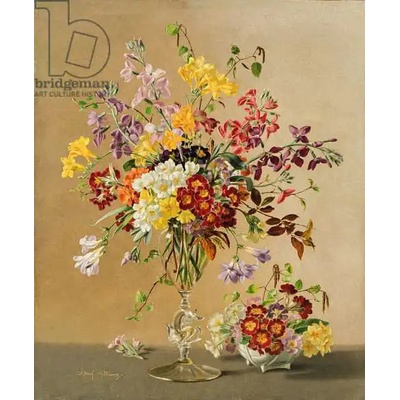 Obrazy - Williams, Albert: Freesias and Primroses - reprodukce obrazu