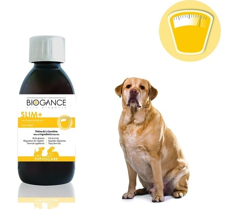 BIOGANCE Phytocare Slim+ sol. 200 ml