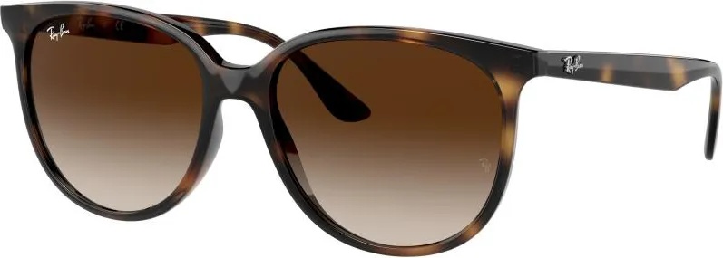 Ray-Ban RB4378 710/13