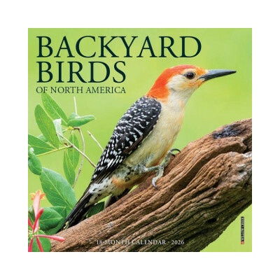 Backyard Birds 7 X 7 Mini Wall 2026