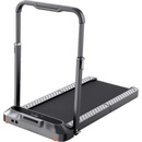 Kingsmith Walking Pad TRR2F R2