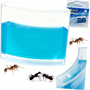 KIK Mravenčí akvárium modré