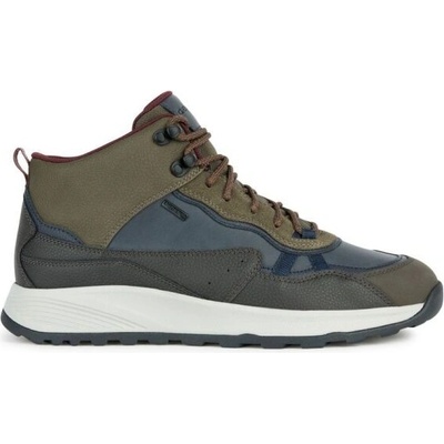 Geox Terrestre B