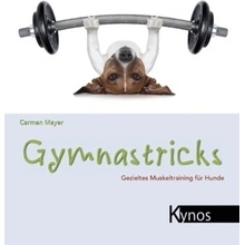 Gymnastricks