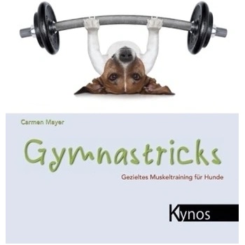 Gymnastricks