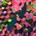 Rattle - Encircle LP