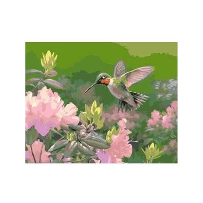 Smart Flamingo Creative set Flamingo Line Painting by numbers 40x50cm Hummingbird (FSY213)
