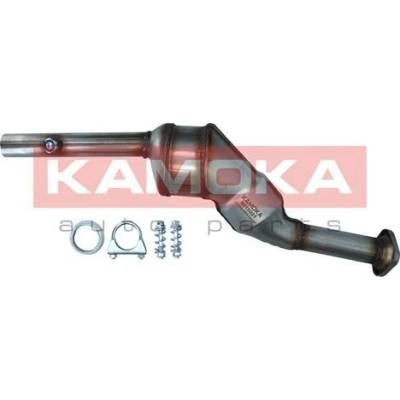 Katalyzátor KAMOKA 8015021