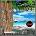Tanglewood Soprano Ukulele Strings