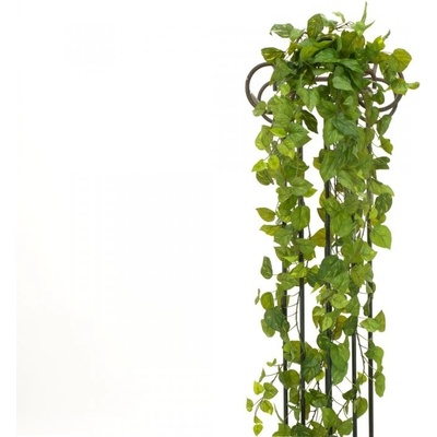 Girlanda Photosu Premium, 170 cm