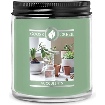 Goose Creek Candle SUCCULENTS 198 g