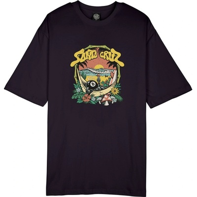 Santa Cruz Winkowski 8Baller Trip Front black
