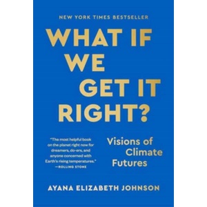 WHAT IF WE GET IT RIGHT (ISBN: 9780593229385)
