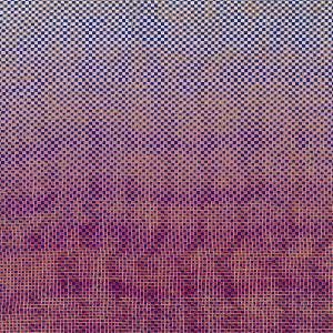 Warner Akinmusire Ambrose & Mary Halvorson: Slo-Mo Neon Luminate Hoverings - CD (094324)
