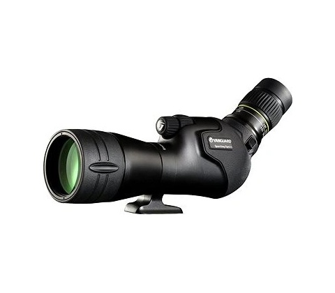 Vanguard Endeavor HD 82A