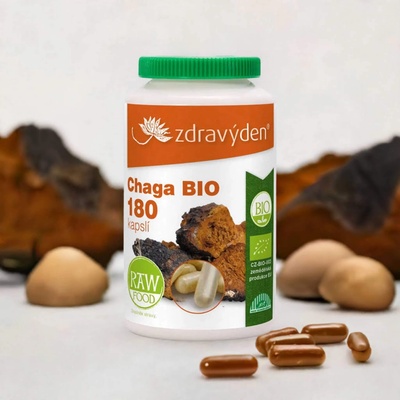 Zdravý den Chaga BIO 180 kapslí