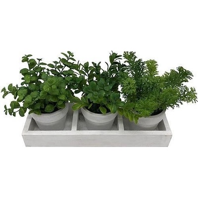MagicHome Vianoce Mix bylin sukulent, MagicHome, 18 cm, květináč - papír, 3 ks