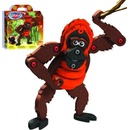 Bloco Orangutan
