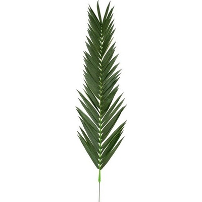 Palmový list Kokos, 200cm