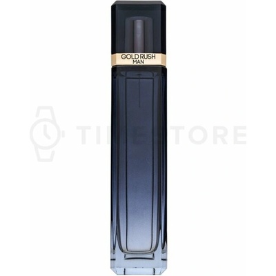 Paris Hilton Gold Rush toaletní voda pánská 100 ml