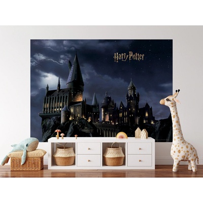 AG Design FTDXL-1965 Papírová fototapeta Harry Potter, rozměry 252 x 182 cm