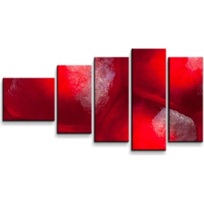 Sablio Obraz - 5-dílný Granátové jablko - 100x60 cm