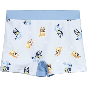 Cerda Бански bluey