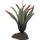Lucky Reptile Tillandsia 20 cm