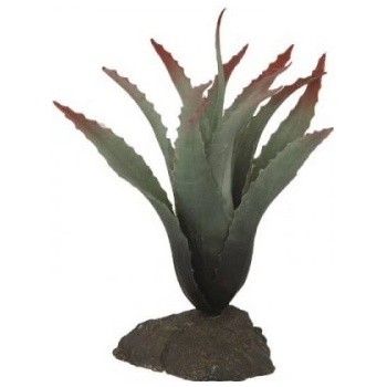 Lucky Reptile Tillandsia 20 cm