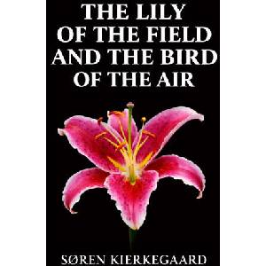 The Lily of the Field and the Bird of the Air | Søren Kierkegaard, S. R. Travers (ISBN: 9781918509731)