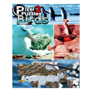 Pixel Puzzles 2: Birds