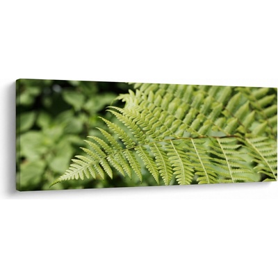 Obraz - Kapradinový list, jednodílný 100x40 cm – Hledejceny.cz