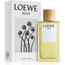 Loewe Agua de Loewe toaletná voda unisex 150 ml
