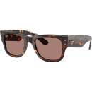 Ray-Ban RB0840S 902/1A