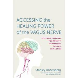 Accessing the Healing Power of the Vagus Nerve (ISBN: 9781623170240)