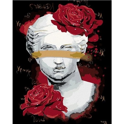 zuty Malování Podle Čísel Venuše S Červenými Růžemi 80 x 100 Cm Plátno Rám