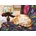 Cobble Hill - Puzzle Sweet Dreams 1000 - 1 000 piese