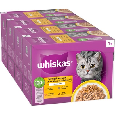 Whiskas drůbeží výběr v želé 144 x 85 g