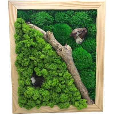 Machový obraz kombinácia 30x30cm