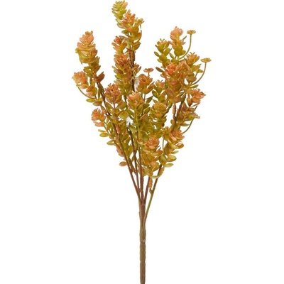 ZELEŇ SEDUM ORANŽOVÉ 35CM
