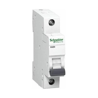 Schneider Electric 4C/1 iK60N A9K02104