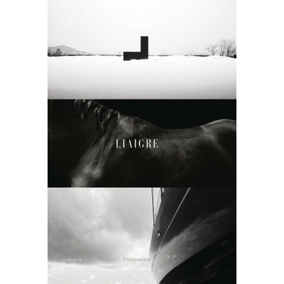 Liaigre: 12 Projects - Christian Liaigre