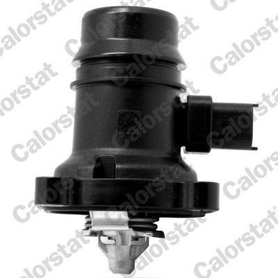 Termostat, chladivo CALORSTAT by Vernet TE7246.80J (TE724680J)