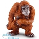 Collecta Orangutan