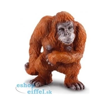 Collecta Orangutan