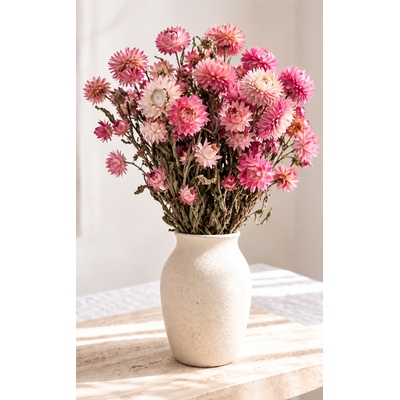 Helichrysum, slaměnka růžová/fuchsiová 150g