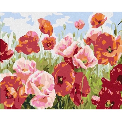 zuty Malování podle čísel Vlčí máky v mnoha odstínech 50 x 40 cm vypnuté plátno na rám