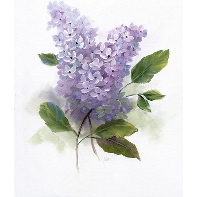 Obraz šeřík I 1 deska 50x70