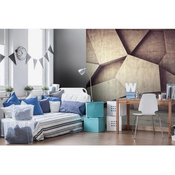 DIMEX ART s. r. o Флизелинов фототапет 3d бетонен фон 225 x 250 см