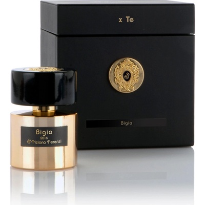 Tiziana Terenzi Bigia parfumovaný extrakt unisex 100 ml